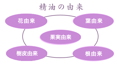 Iana Japan 脳と栄養に関する国際医療ネットワーク